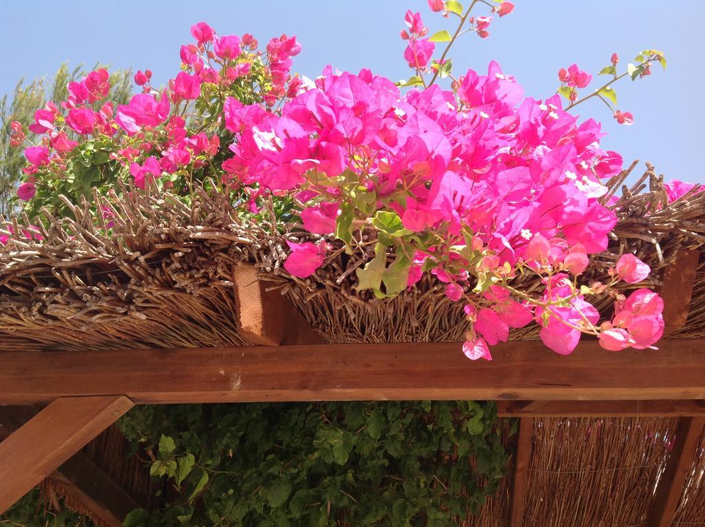 بينيتاشيل Finca Klara, Boutiquehotel - Apartment -Javea-Moraira- المظهر الخارجي الصورة